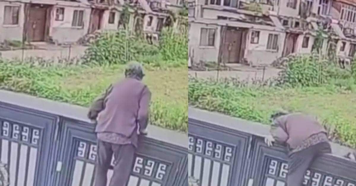 92 साल की दादी ने किया धमाल, नर्सिंग होम से भागने के लिए 2 मीटर का गेट चढ़ कर किया पार, लोग हुए दंग 92 साल की दादी ने किया धमाल, नर्सिंग होम से भागने के लिए 2 मीटर का गेट चढ़ कर किया पार, लोग हुए दंग