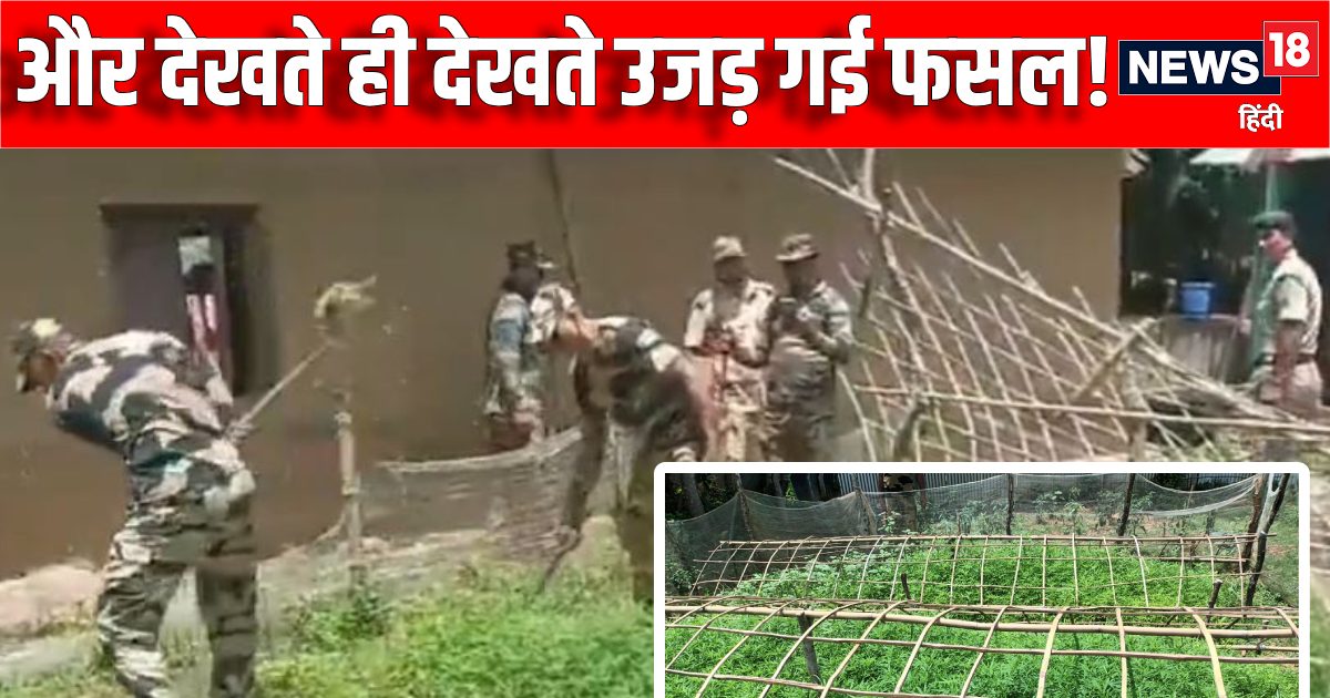 खेत में घुसे के जवान, मिनटों में उजाड़ी लाखों की फसल, देखते रह गए गांव वाले