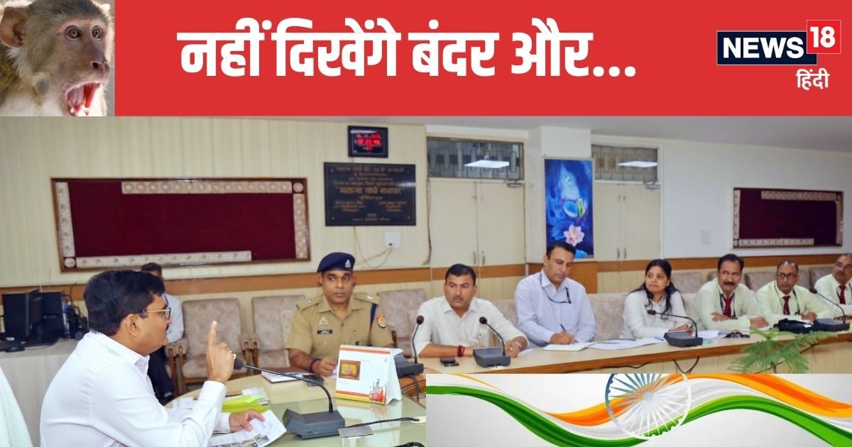 बंदर और भिखारी से परेशान लोगों के लिए गुड न्यूज, DM ने दे डाली दो टूक हिदायत बंदर और भिखारी से परेशान लोगों के लिए गुड न्यूज, DM ने दे डाली दो टूक हिदायत