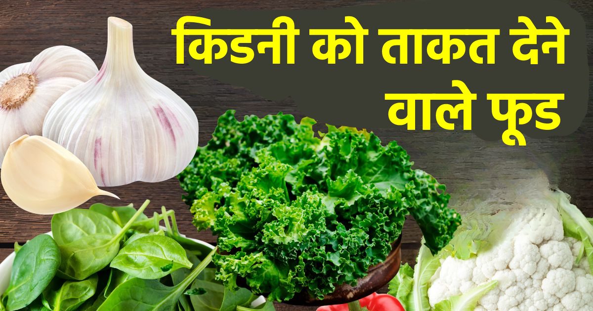 किडनी को अद्वितीय शक्ति से भर देंगे ये 7 अनोखे फूड, खून से भी निकल जाएगी सारी गंदगी, रोज करें दो-तीन का सेवन