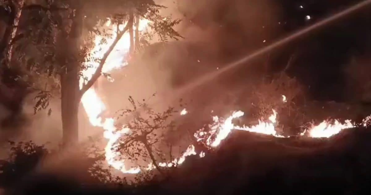 Forest Fire: उत्तराखंड के बाद अब हिमाचल में धधके जंगल, कसौली से लेकर नगरोटा तक तांडव Forest Fire: उत्तराखंड के बाद अब हिमाचल में धधके जंगल, कसौली से लेकर नगरोटा तक तांडव