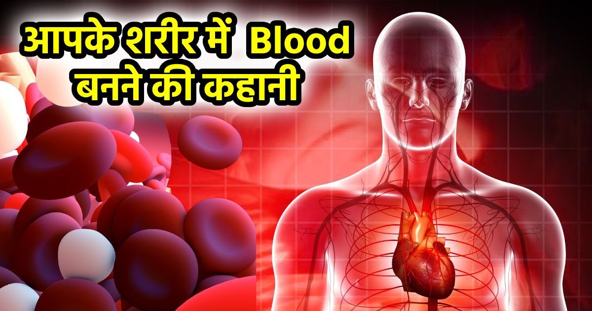 क्या आपको पता है कि शरीर में कैसे बनता है खून, 96000 किलोमीटर की लाइन से कैसे रग-रग तक पहुंचता है Blood, क्या है इसका काम