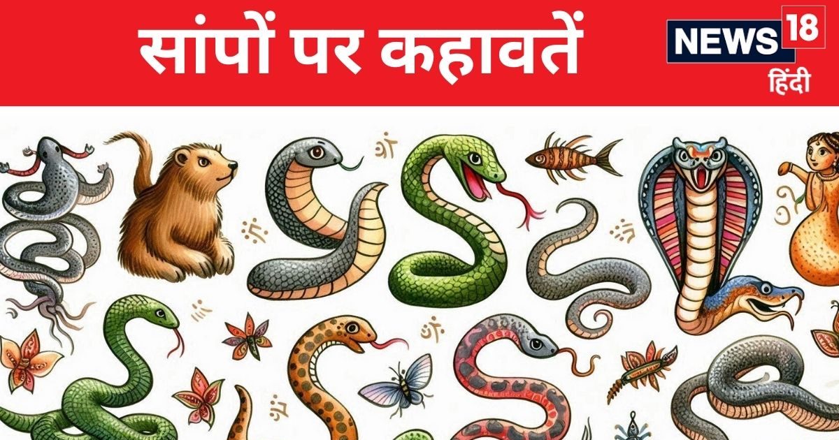 सांपों से जुड़ी कहावतों के पीछे की कहानी जानिए सांपों से जुड़ी कहावतों के पीछे की कहानी जानिए
