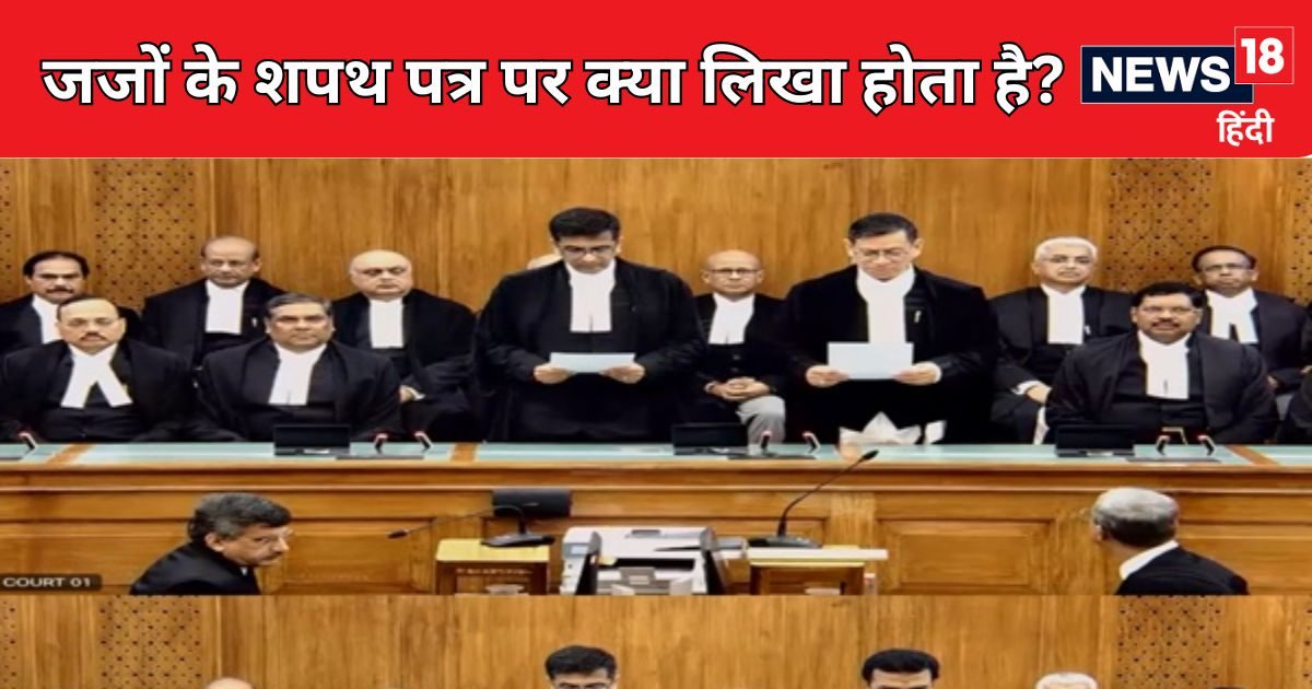 CJI चंद्रचूड़ ने 2 जजों को दिलाई SC की जस्टिस की शपथ, क्या लिखा होता है उनके शपथपत्र पर, जानते हैं आप? CJI चंद्रचूड़ ने 2 जजों को दिलाई SC की जस्टिस की शपथ, क्या लिखा होता है उनके शपथपत्र पर, जानते हैं आप?