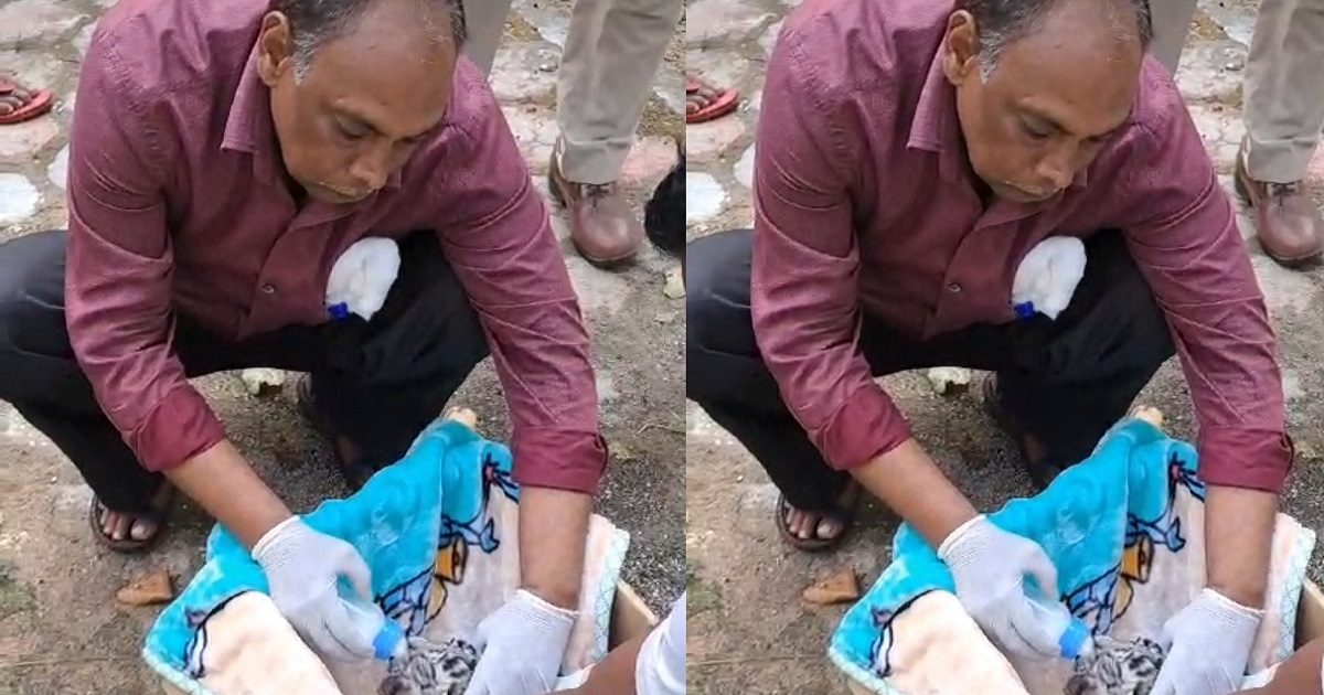 गौरी ने चार बच्चों को जन्म दिया और तीन के ऊपर खुद ही सो गई, पूरे कैम्पस में गूंज उठी चीख, सभी की मौत से हड़कंप