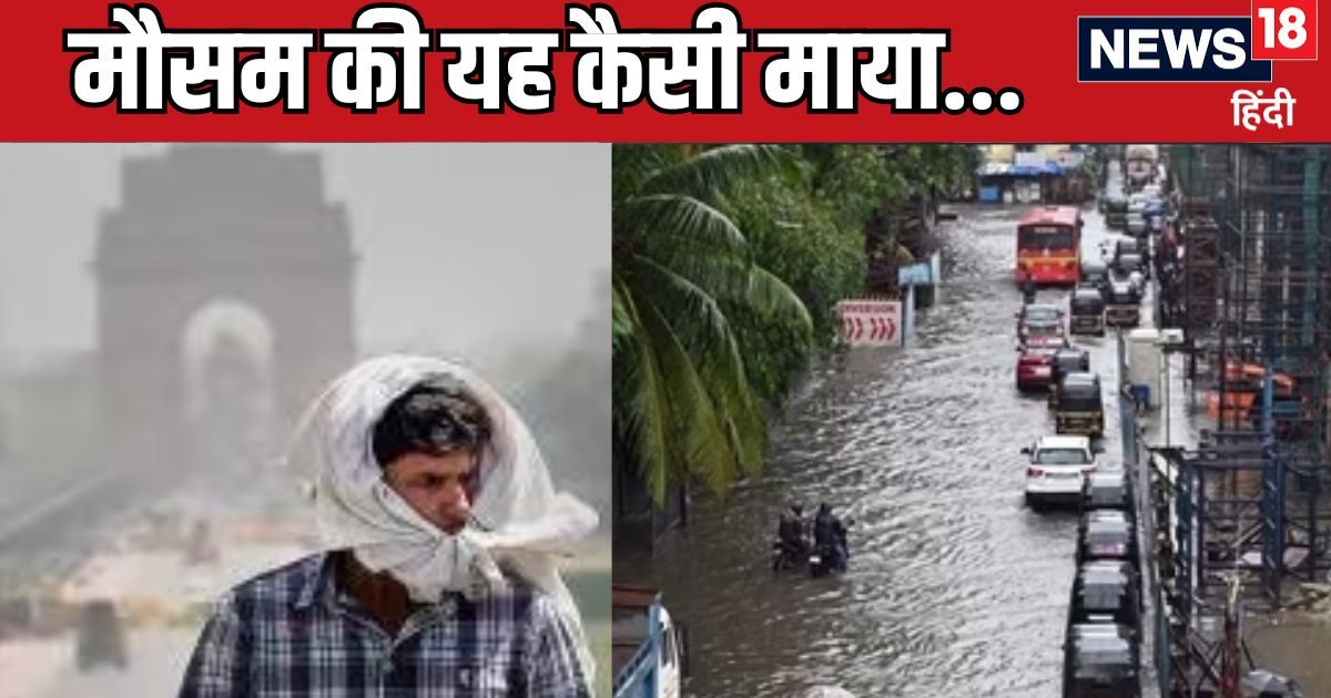 फैन-कूलर की कौन सुने…उमसभरी गर्मी से निकला दिल्ली-NCR का दम, मुंबई वाले बारिश से परेशान, UP-बिहार का क्या हाल? फैन-कूलर की कौन सुने…उमसभरी गर्मी से निकला दिल्ली-NCR का दम, मुंबई वाले बारिश से परेशान, UP-बिहार का क्या हाल?