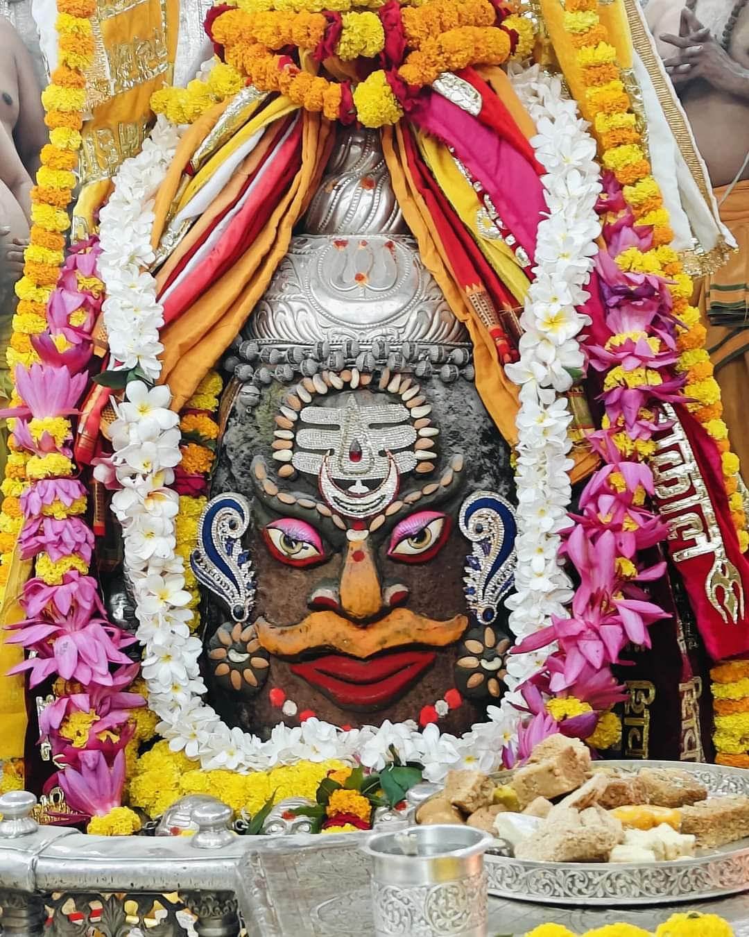 MP News Today Live: मध्य प्रदेश ब्रेकिंग न्यूज़,पढ़ें 2 नवम्बर के मुख्य और ताजा समाचार