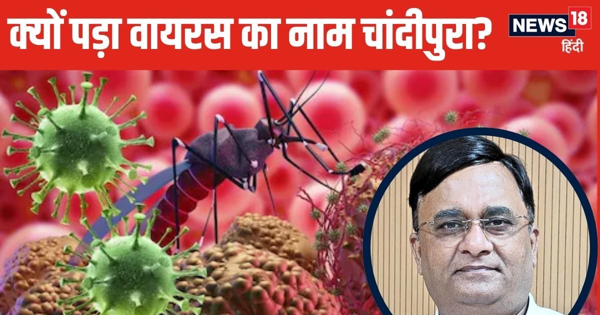 एक ऐसा वायरस, जो ले रहा बच्चों की जान, क्यों पड़ा इसका नाम चांदीपुरा? जानें कितने साल पुरानी है यह बीमारी एक ऐसा वायरस, जो ले रहा बच्चों की जान, क्यों पड़ा इसका नाम चांदीपुरा? जानें कितने साल पुरानी है यह बीमारी