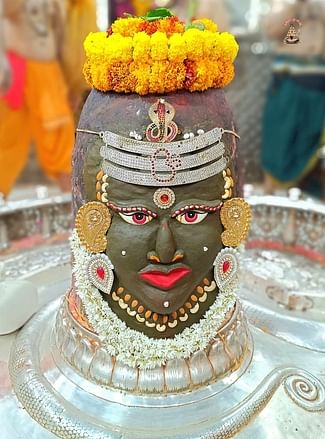 Ujjain News: भांग से श्रृंगार, फलों का लगा भोग, आज भस्म आरती में कुछ ऐसे सजे बाबा महाकाल