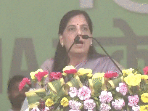 सुनीता केजरीवाल बोलीं-अरविंद को जेल में मारने की साजिश: AAP का आरोप- दिल्ली CM को इंसुलिन नहीं दी जा रही; आतिशी इंसुलिन लेकर जेल पहुंचीं