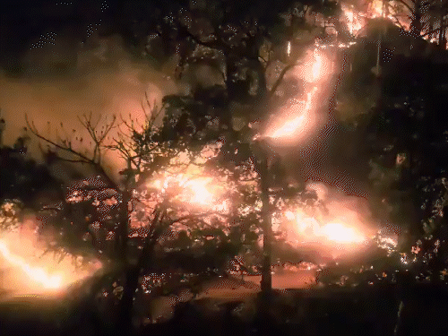 उत्तराखंड के जंगलों में 4 दिन से आग लगी: 11 जिलों में 1780 एकड़ जंगल प्रभावित; आर्मी एरिया के करीब पहुंची; सेना के हेलिकॉप्टर लगाए गए – Dehradun News