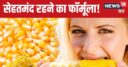 स्वाद और सेहत का ‘डबलडोज’ हैं ये पीले दानें, शुगर और आंखों के लिए रामबाण, वजन घटा बाड़ी को देते हैं परफेक्ट लुक!