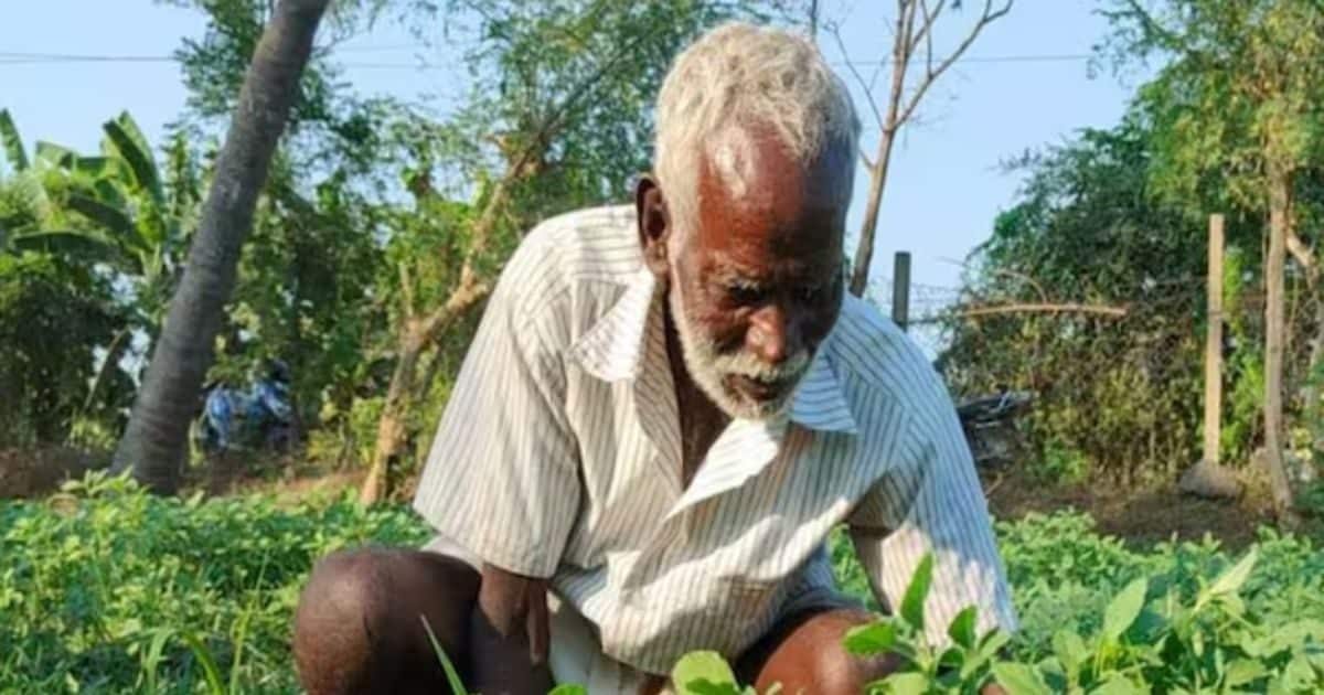 ऋण माफी : कितना लोन होगा माफ, कौन-कौन से किसान होंगे इसके हकदार? जानें ऋण माफी : कितना लोन होगा माफ, कौन-कौन से किसान होंगे इसके हकदार? जानें