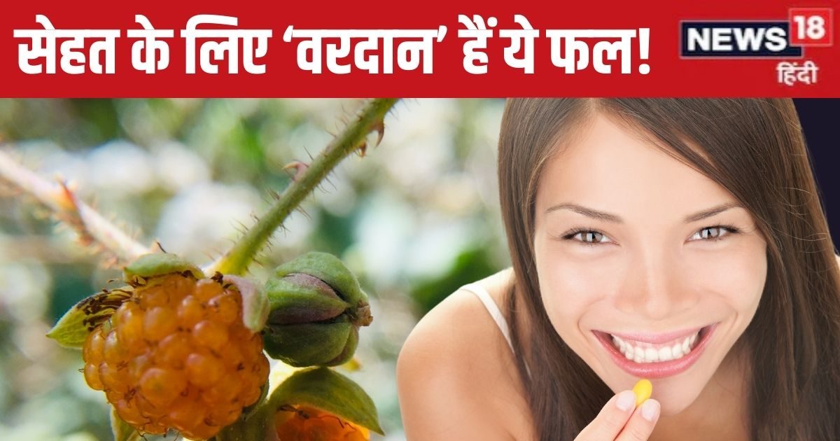 पहाड़ी जंगलों की शान और सेहत के लिए अमृत है ये फल, साल में 3 माह आते हैं नजर, किडनी-खांसी और पेट दर्द की खास औषधि.! पहाड़ी जंगलों की शान और सेहत के लिए अमृत है ये फल, साल में 3 माह आते हैं नजर, किडनी-खांसी और पेट दर्द की खास औषधि.!