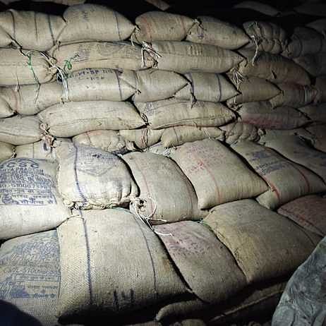 Sehore News: कालाबाजारी के पहले प्रशासन के हत्थे चढ़ा मूंग का ट्रक, समर्थन मूल्य पर खपाने की थी योजना