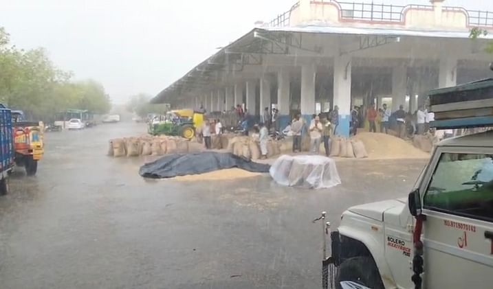 Mandsaur News: मंदसौर-नीमच-रतलाम में हुई तेज बारिश, दलौदा और मंदसौर में किसानों की उपज पानी में बही