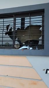 Ujjain News: मंगल सागर कॉलोनी में मचा था उत्पात, रहवासी समझे थे चोर और डाकू, अब आरोपी को देखकर सब रह गए हैरान