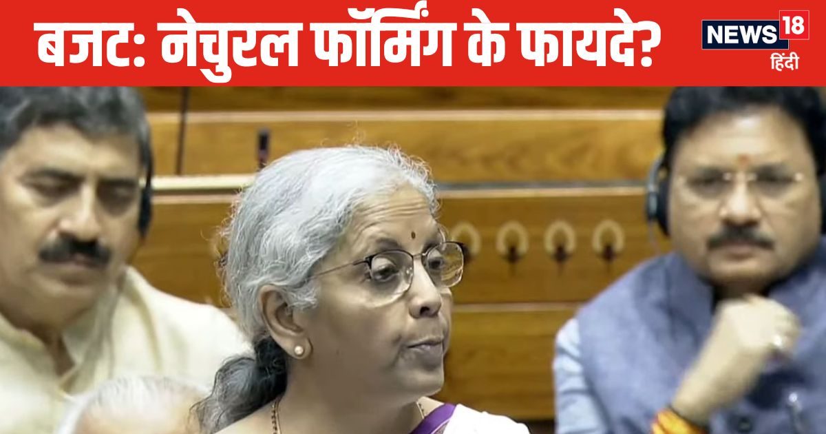 नेचुरल फॉर्मिंग क्या है? जिसका आम बजट में वित्तमंत्री ने किया जिक्र, किसानों को कैसे होगा लाभ, जानें क्या है भविष्य नेचुरल फॉर्मिंग क्या है? जिसका आम बजट में वित्तमंत्री ने किया जिक्र, किसानों को कैसे होगा लाभ, जानें क्या है भविष्य