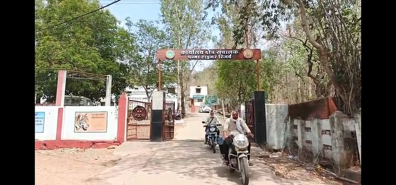 Panna News: PTR में वन्यजीव की मौत के बाद मचा हडक़ंप, बीमारी बताई जा रही तीनों वन्यजीवों की मरने की वजह