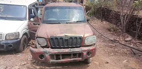Damoh News: झलोन वन क्षेत्र में सागौन तस्करी का पर्दाफाश, लकड़ी से भरी स्कॉर्पियो जब्त