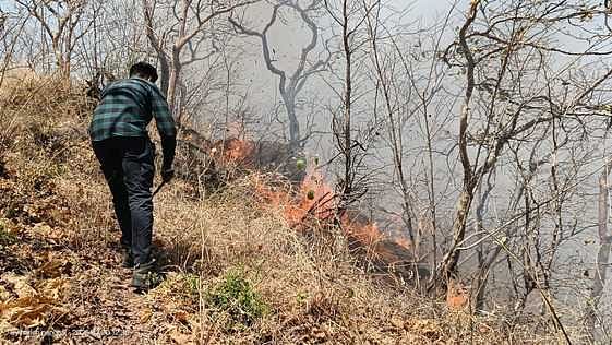 Sirohi News: आग पर काबू पाने की कवायद जारी, दूसरे दिन भी माउंटआबू-आबूरोड पर जलता रहा जंगल