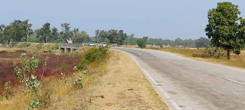 Damoh News: जिले का 58 हजार एकड़ जंगली क्षेत्र वीरांगना दुर्गावती टाइगर रिजर्व को हैंडओवर, लागू होगे नए नियम